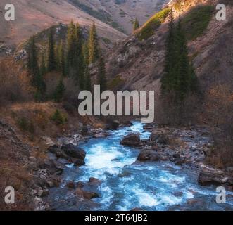 Fiume tempestoso di montagna con splendide acque blu e grandi massi e pietre scorre tra una foresta di abeti rossi nella gola di Turgen in Kazakistan. Foto Stock