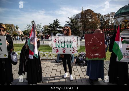 Istanbul, Turchia. 8 novembre 2023. Una donna ha visto in mano un cartello che diceva "cessate il fuoco ora” durante una protesta sit-in. L'iniziativa di solidarietà con le donne palestinesi prosegue l'ottavo giorno della protesta sit-in di 15 giorni in piazza Sultanahmet. Credito: SOPA Images Limited/Alamy Live News Foto Stock