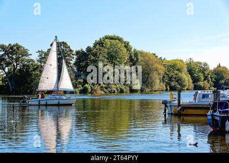 Uno yacht solitario che naviga dolcemente sul fiume Tamigi a Shepperton in una giornata estiva di sole, Surrey, Inghilterra, Regno Unito Foto Stock