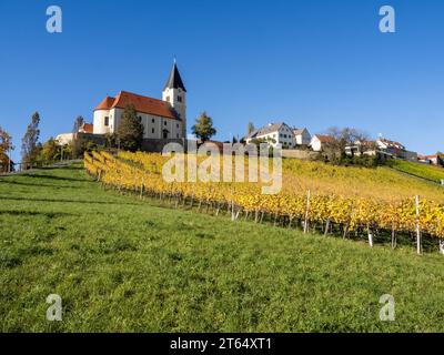 Cielo azzurro sulle vigne in autunno, chiesa parrocchiale cattolica di San Anna am Aigen, St. Anna am Aigen, regione collinare della Stiria sud-orientale, Stiria, Austria Foto Stock