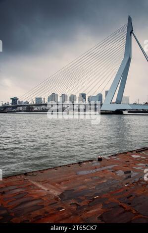 Veduta del ponte Erasmus a Rotterdam, Paesi Bassi Foto Stock