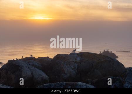 Rocky Shore sulla costa dell'Oceano Pacifico. Foggy Sunset. Victoria, Vancouver Island, British Columbia, Canada. Foto Stock