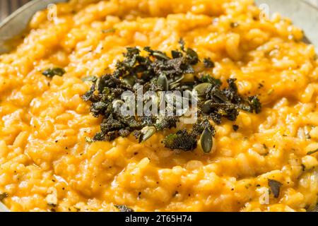 Risotto alla zucca autunnale fatto in casa con salvia e burro Foto Stock