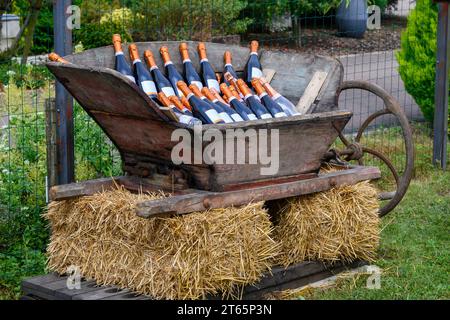 Durante la festa, all'aperto vengono servite molte bottiglie di champagne e vino frizzante. Costa des Bar, Aube, a sud di Champagne, Francia in estate Foto Stock