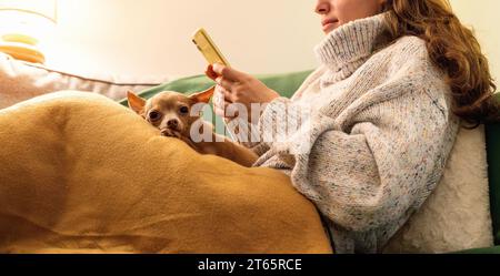 La donna e il suo piccolo cane da braccio si rilassano insieme sul divano a casa mentre la fredda sera invernale. Cane che guarda la fotocamera mentre il proprietario usa il telefono. Foto Stock