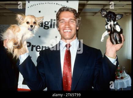 1983: Burli, wie er liebevoll von seiner Mama Aurelia genannt wurde, per il presidente austriaco Die Gewichte wurden dann noch etwas schwerer Fotos: Leopold NEKULA/VIENNAREPORT e. U. âÖï Arnold SCHWARZENGER promotet kika 27. Mai 1983, kika Vösendorf, Vienna. âï Arnold Schwarzenegger: Siate utili. Sieben einfache Regeln für ein besseres Leben: https://www.sueddeutsche.de/panorama/leute-arnold-schwarzenegger-gibt-gute-ratschlaege-dpa.urn-newsml-dpa-com-20090101-231010-99-510715 . Bild: Arnie hier zu sehen beim Stemmen zweier Kleinsthunde in der Kita-Zentrale Arnold Alois Schwarzenegger * 30. Juli 19 Foto Stock