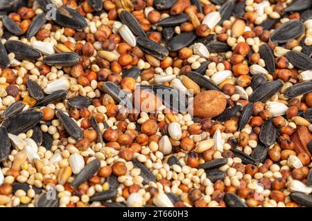 Primo piano della miscela di semi di uccelli di mais incrinato, semi di girasole, milo e miglio. Concetto di mangiatoia per uccelli, cibo per uccelli e fauna selvatica Foto Stock