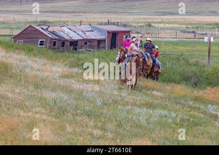 La tua famiglia è guidata da un'escursione a cavallo attraverso i campi del Terry Bison Ranch vicino a Cheyenne, Wyoming Foto Stock