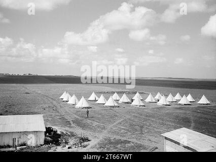 Inizio di un insediamento ebraico, Qastina, Mandatory Palestine, G. Eric and Edith Matson Photography Collection, 26 febbraio 1940 Foto Stock