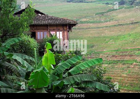 龙胜镇 (龙胜县) 中國 Longsheng Rice Terraces, Longji Ping'an Zhuang, Cina; casa cinese sullo sfondo di risaie a terrazze; 以水稻梯田為背景的中國房子 Foto Stock