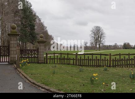 Guardando un campo pianeggiante attraverso una recinzione vecchio stile con alberi di quercia e altri alberi maturi sullo sfondo Foto Stock