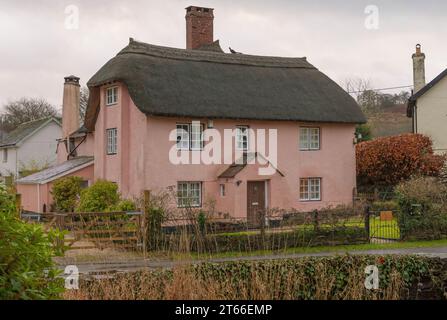 Casa in paglia dipinta di rosa in inverno con un fagiano fatto di paglia di paglia sul tetto Foto Stock