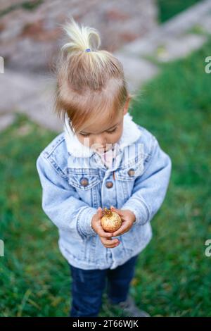 La bambina esamina un melograno giallo nelle sue mani mentre si trova in giardino Foto Stock