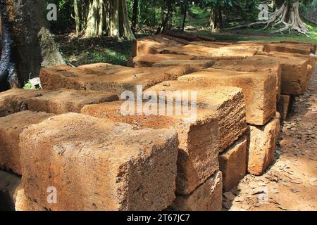 Mattoni di mattoni di laterite grezzi accumulati nella giungla del Parco Archeologico di Angkor, vicino a Siem Reap, Cambogia. I blocchi verranno utilizzati per il ripristino Foto Stock