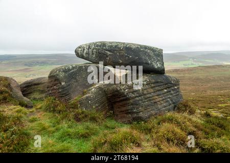 Una formazione rocciosa a Roaches, Staffordshire, Inghilterra Foto Stock