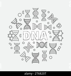 Illustrazione del concetto di scienza vettoriale tonda del DNA in linea sottile Illustrazione Vettoriale
