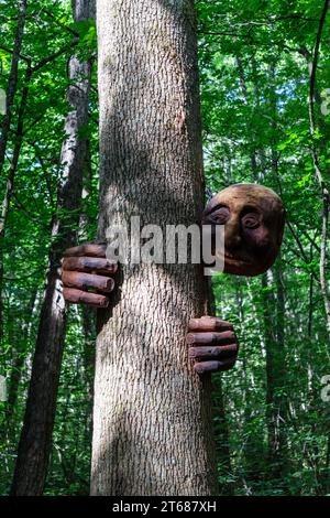 Un percorso artistico, con sculture di animali di Andrew Lyons provenienti da una sequoia, esiste all'interno della foresta di Hanmer Springs. Si tratta di una bella passeggiata, ideale per chi vuole andare a piedi Foto Stock