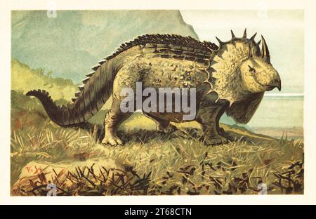 Triceratops prorsus, specie estinta di dinosauro erbivoro vissuto dal Maastrichtiano all'evento di estinzione del Cretaceo-Paleogene. Triceratops prorsus Marsh. Illustrazione stampata a colori di F. John di Wilhelm Bolsches Tiere der Urwelt (animali del mondo preistorico), Reichardt Cocoa Company, Amburgo, 1908. Foto Stock