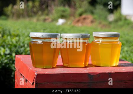 Barattoli di miele sotto il sole di fronte ai verdi in fattoria con alveare Foto Stock