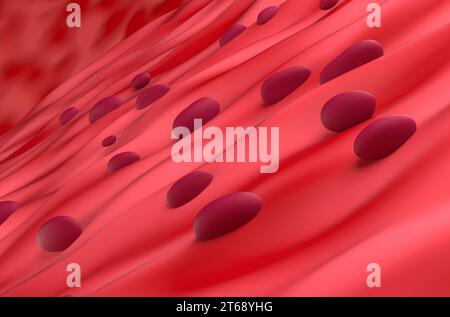 Tessuto muscolare cardiaco - Vista ravvicinata illustrazione 3d. Foto Stock