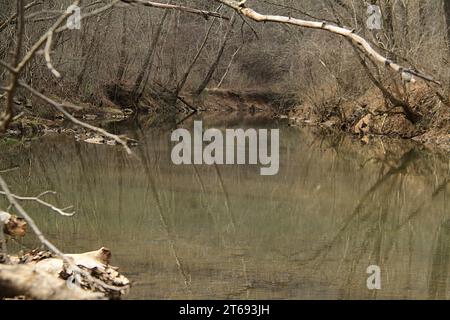 Blackwater Creek a Lynchburg, Virginia, USA Foto Stock