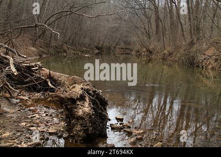 Blackwater Creek a Lynchburg, Virginia, USA Foto Stock