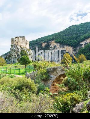 Forte Mseilha del XVII secolo costruito su una roccia calcarea e su un vecchio ponte in pietra, Libano Foto Stock
