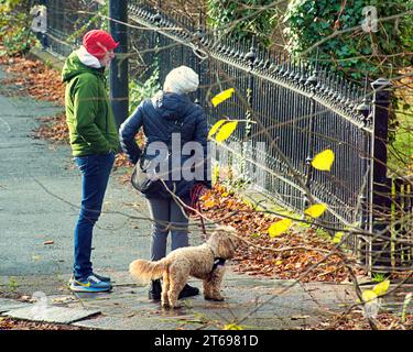 Glasgow, Scozia, Regno Unito. 9 novembre 2023. Meteo del Regno Unito: La notte a basse temperature ha visto una giornata di sole nel centro della città. Credit Gerard Ferry/Alamy Live News Foto Stock