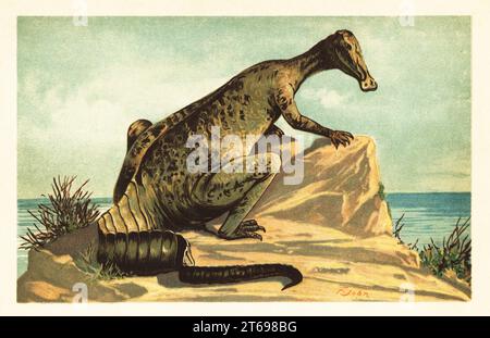 Trachodon mirabilis. Trachodon, genere dubbio di dinosauro hadrosauride estinto basato su denti dell'età Campaniana, Cretaceo superiore. Hadrosaurus mirabilis Leidy. Illustrazione stampata a colori di F. John di Wilhelm Bolsches Tiere der Urwelt (animali del mondo preistorico), Reichardt Cocoa Company, Amburgo, 1908. Foto Stock