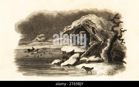 ouzel d'acqua europea che cammina nel lago di Nantua, in Francia, e continua sommersa dal fondo del lago in una bolla d'aria. Un naturalista con moschetto osserva da una capanna innevata di rami di pino. Un uomo su una barca porta le anatre sulla riva. Dopo un aneddoto inviato dal signor Hebert o Herbert al conte de Buffon in Histoire Naturelle, 1749-1788. Water ouzel, Cinclus aquaticus. Incisione su copperplate a mano del reverendo Thomas Smiths The Naturalists Cabinet, o interessanti schizzi di storia animale, Albion Press, James Cundee, Londra, 1806. Smith, fl. 1803-1818, è stato uno scrittore ed editore di Foto Stock