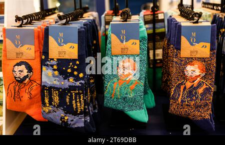 MOSTRA VAN GOGH AL MUSEO D'ORSAY Foto Stock
