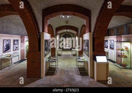 Hradec Kralove, Repubblica Ceca. 9 novembre 2023. Il Museo della Boemia Orientale di Hradec Kralove ha preparato la mostra la magia dei giocattoli, che presenta principalmente giocattoli della seconda metà del XX secolo, il 9 novembre 2023. Crediti: David Tanecek/CTK Photo/Alamy Live News Foto Stock