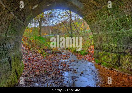 Vista di un vecchio Culvert in autunno nell'Ohio orientale Foto Stock