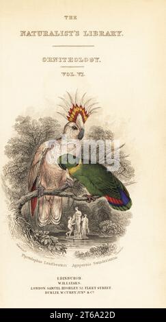 Pagina del titolo con vignetta del cockatoo del maggiore Mitchell e dell'uccello amoroso dal colletto nero. Plyctolophus leadbeateri, Agapornis swinderianus. Incisione su copperplate a mano di William Lizars su un'illustrazione di James Stewart da Prideaux J. Selbys The Natural History of Parrots in Sir William Jardines Naturalists Library: Ornithology, Lizars, Edimburgo, 1836. Foto Stock