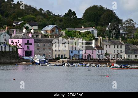 Edifici lungo il fiume nel villaggio di Dittisham sulla riva occidentale del fiume Dart nel Devon meridionale. Foto Stock