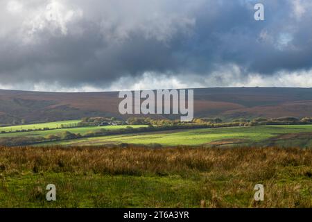 La vista a sud da Two Moors Way su Dure giù sulla Barle Valley vicino a Simonsbath nel Parco Nazionale Exmoor, Somerset, Inghilterra. Foto Stock