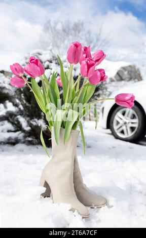 bouquet di freschi tulipani rosa con stivali bianchi da donna con tacco alto, in piedi sulla neve bianca appena caduta. Alta primavera. Tra l'inverno e la primavera. Sorpresa Foto Stock