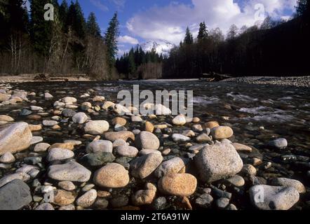 Mt Shuksan dal North Fork Nooksack River, Mt Baker Scenic Byway, Mt Baker-Snoqualmie Foresta Nazionale, Washington Foto Stock