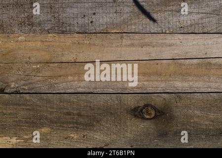 Un'immagine accattivante con tavole di pino invecchiate disposte in modo uniforme, che mostrano una gamma di colori del legno influenzati dagli elementi: Pioggia, sole e vento. La Foto Stock