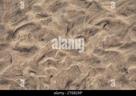 Segni di ondulazione astratti in primo piano, sabbia sulla spiaggia con la bassa marea a Fuerteventura Foto Stock