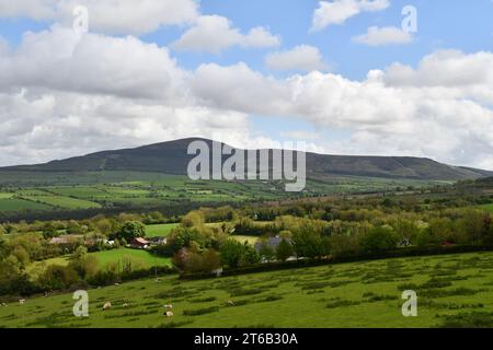 Vista sulla valle e sulla catena montuosa Blackstairs Foto Stock