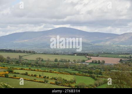 Vista sulla valle e sulla catena montuosa Blackstairs Foto Stock