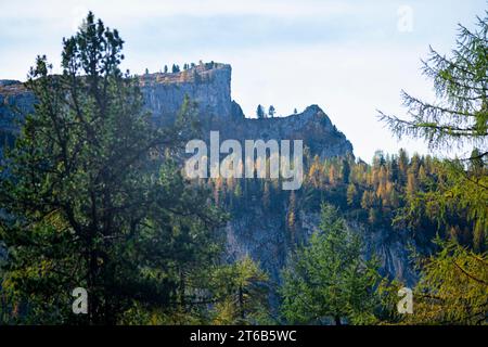 I larici nei colori autunnali crescono sulle scogliere ripide Foto Stock