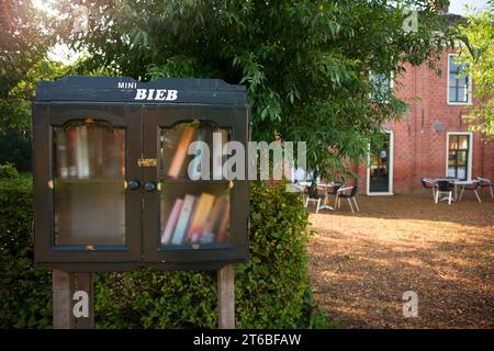 Una mini biblioteca nel centro del villaggio di Groningen, Eenrum. Scambio gratuito e prestito di libri. Foto Stock