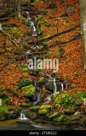 Piccolo torrente dalla collina vicino alla cascata di Ponikly dopo la pioggia notturna in autunno Foto Stock