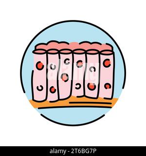 Icona linea colore tessuto. Organizzazione nell'organismo. Elemento isolato vettore. Tratto modificabile. Illustrazione Vettoriale