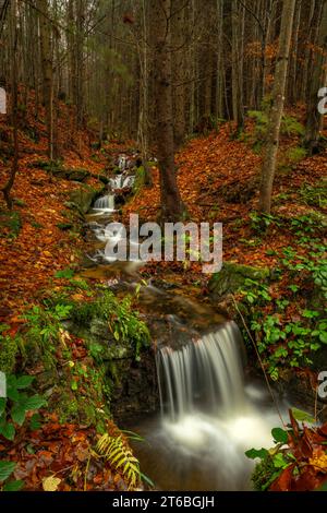 Piccolo torrente dalla collina vicino alla cascata di Ponikly dopo la pioggia notturna in autunno Foto Stock