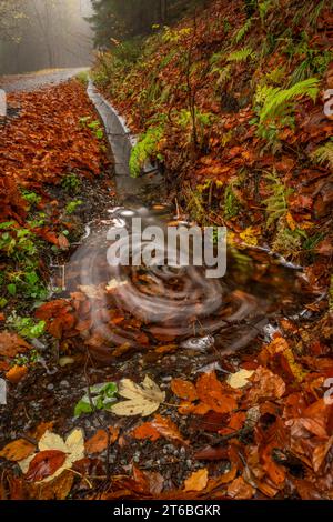 Piccolo torrente dalla collina vicino alla cascata di Ponikly dopo la pioggia notturna in autunno Foto Stock