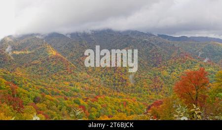 Colori autunnali sotto le nuvole sulle colline del Great Smoky Mountains National Park Foto Stock