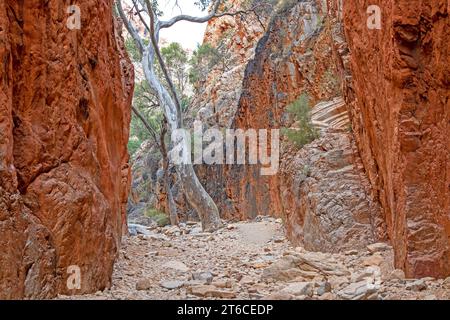 Standley Chasm Foto Stock